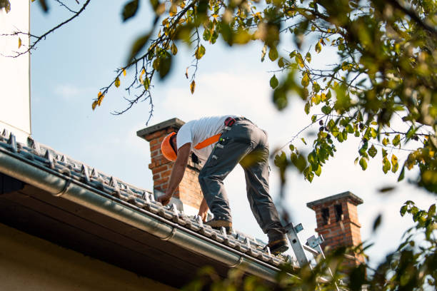 Best Storm Damage Roof Repair  in Walton Park, NY